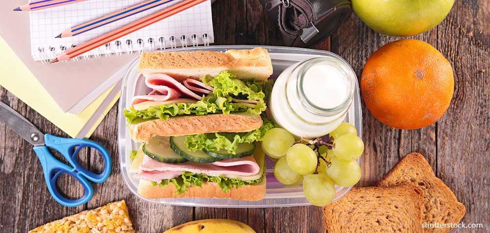 sandwich-school-lunch